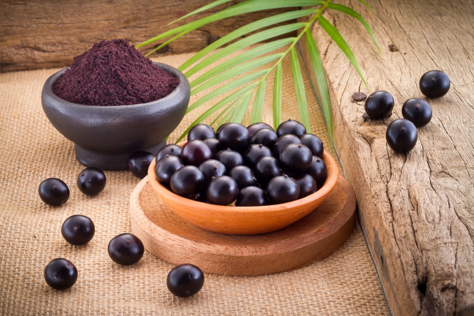 Acai berries and acai powder