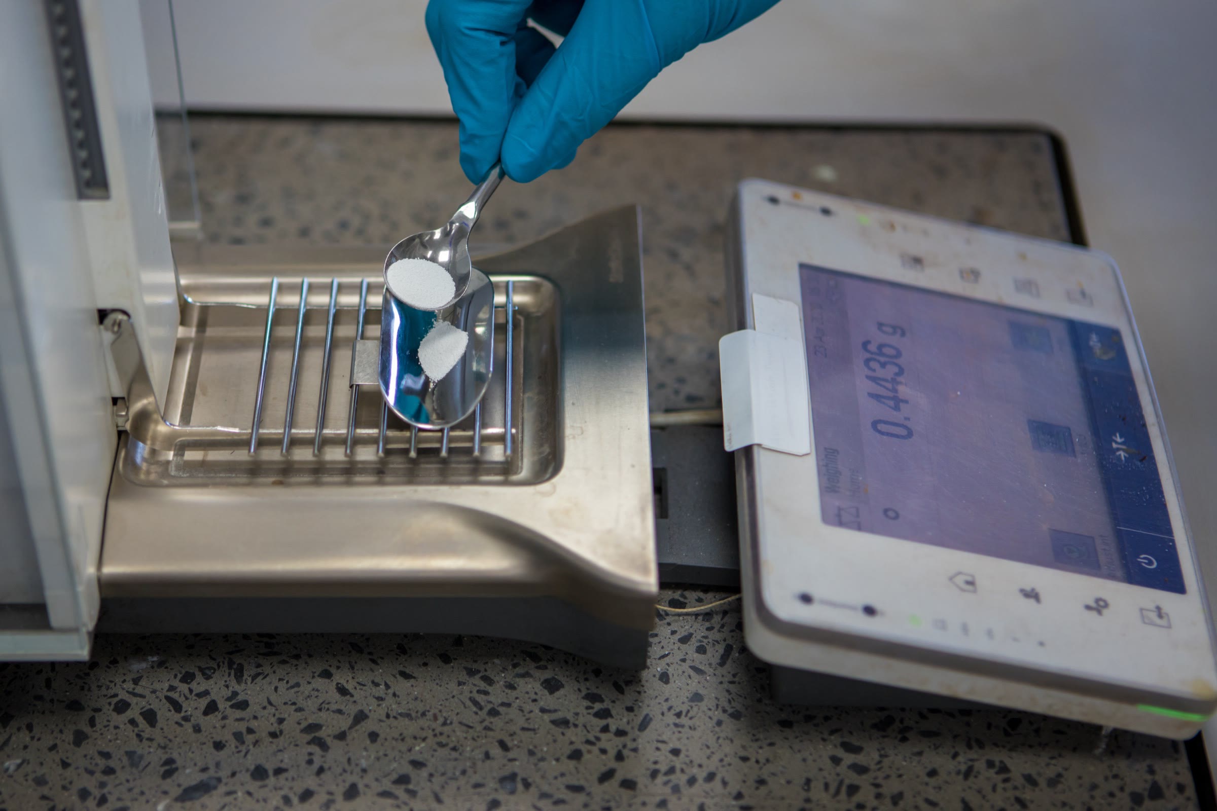 A gloved hand tipping a small measured quantity of powder onto an analytical balance reading 0.4436 grams