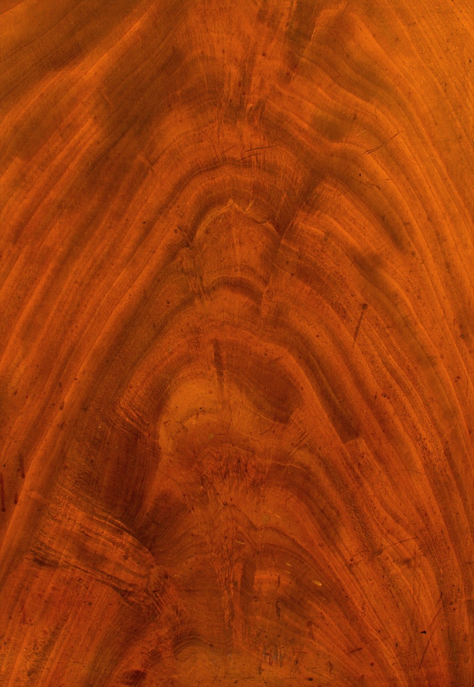 Figured walnut with the deep gloss of a French-polished shellac finish